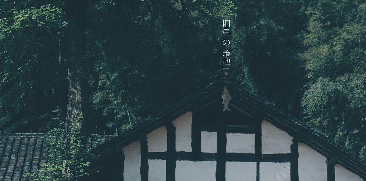 和一个离婚女人结婚真的好吗？游戏画面